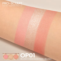 TrueBright Radiance Repair Blush & Highlight Trio